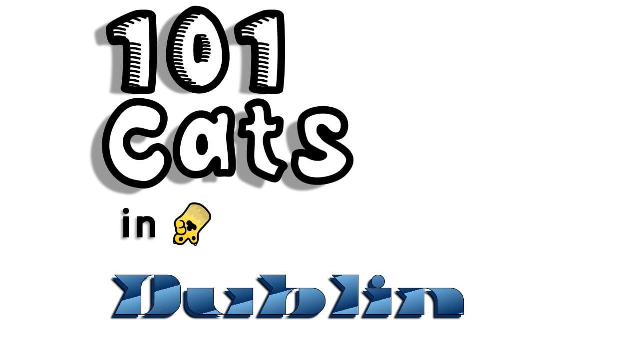 101 Cats in Dublin key art