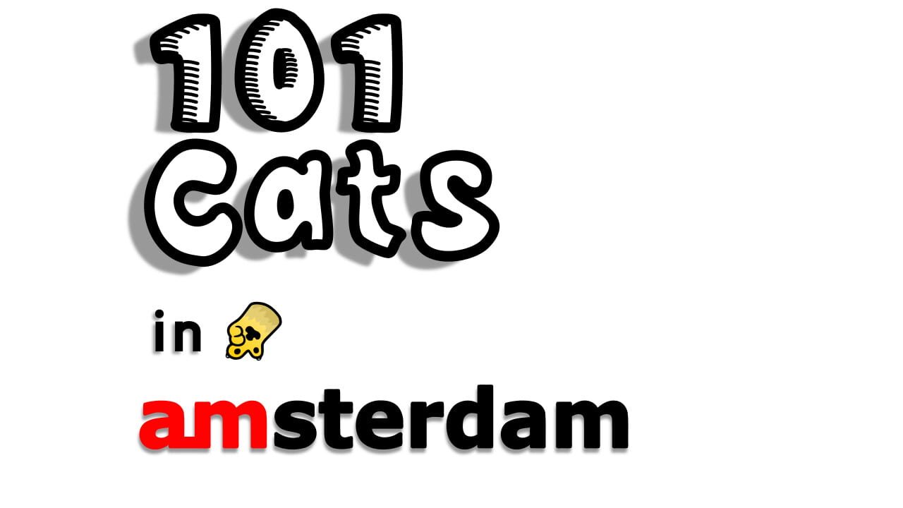 101 Cats Hidden in Amsterdam Image