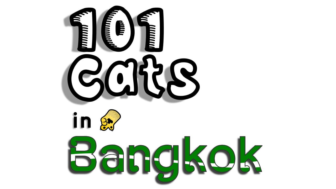 101 Cats Hidden in Bangkok Image