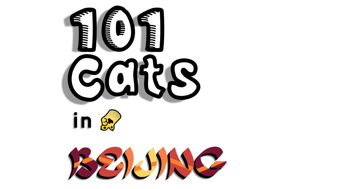 101 Cats in Beijing Image