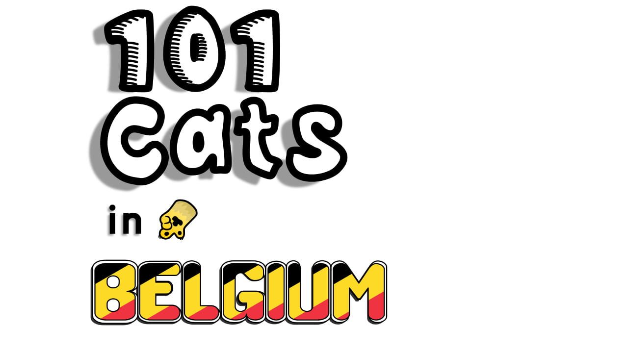 101 Cats in Belgium Image