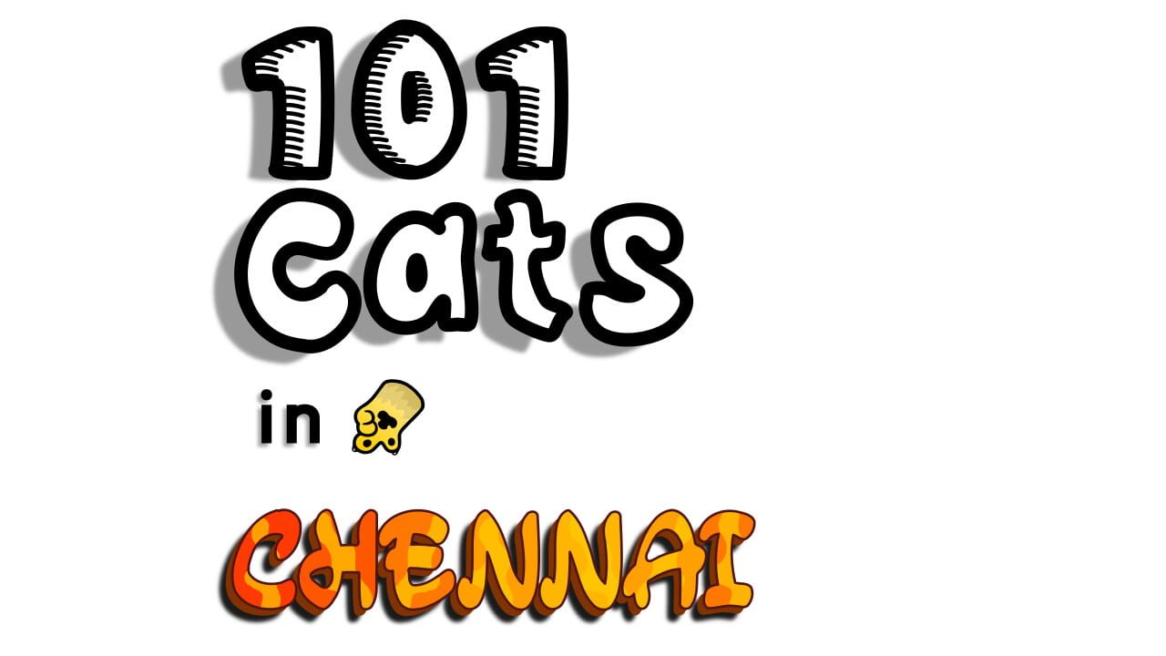 101 Cats in Chennai Image