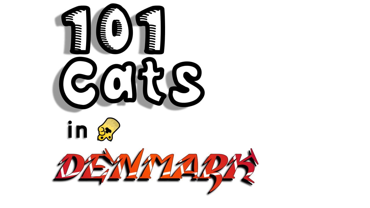 101 Cats in Denmark Image