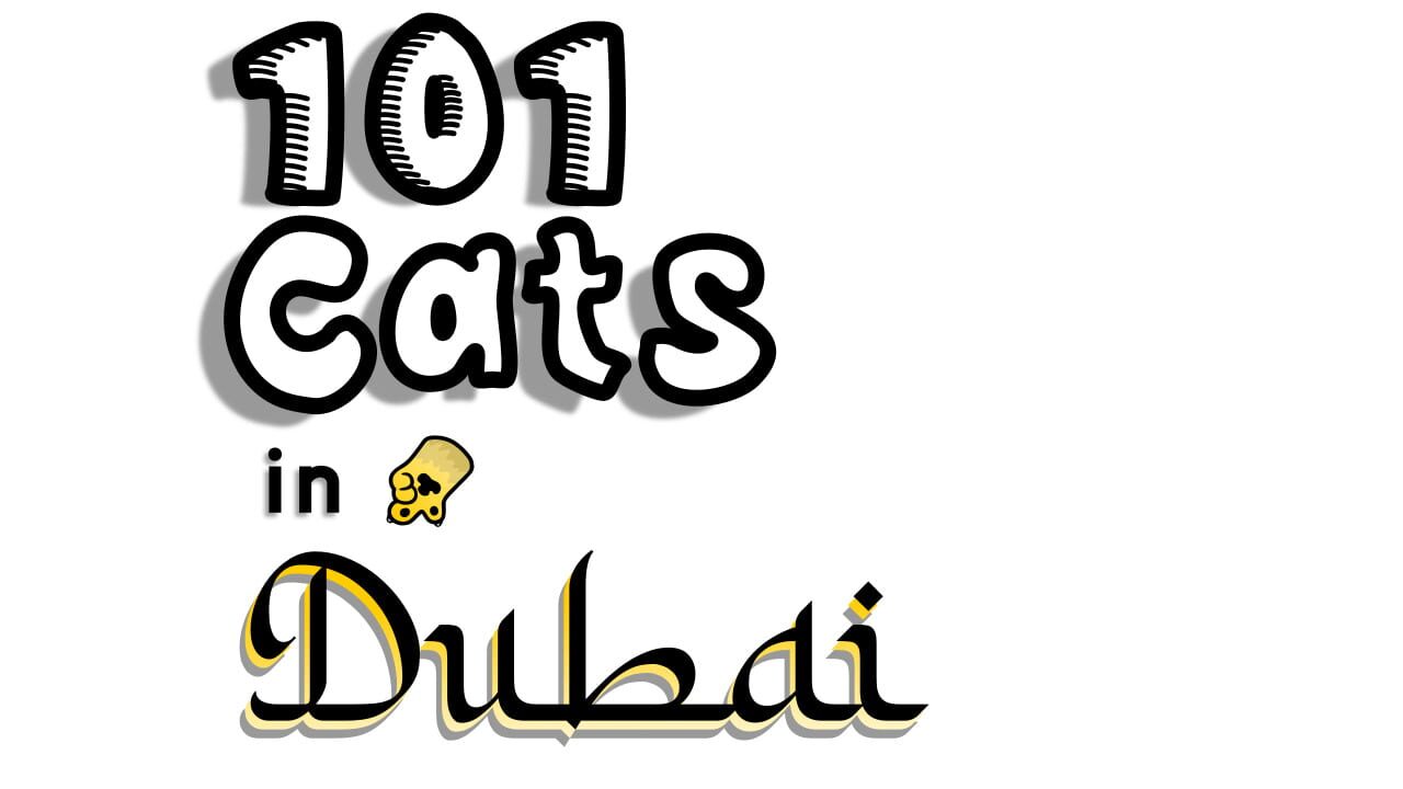 101 Cats Hidden in Dubai Image