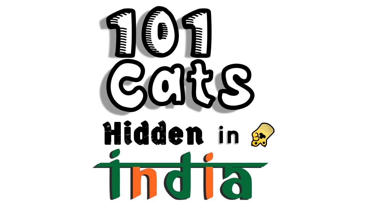 101 Cats Hidden in India Image