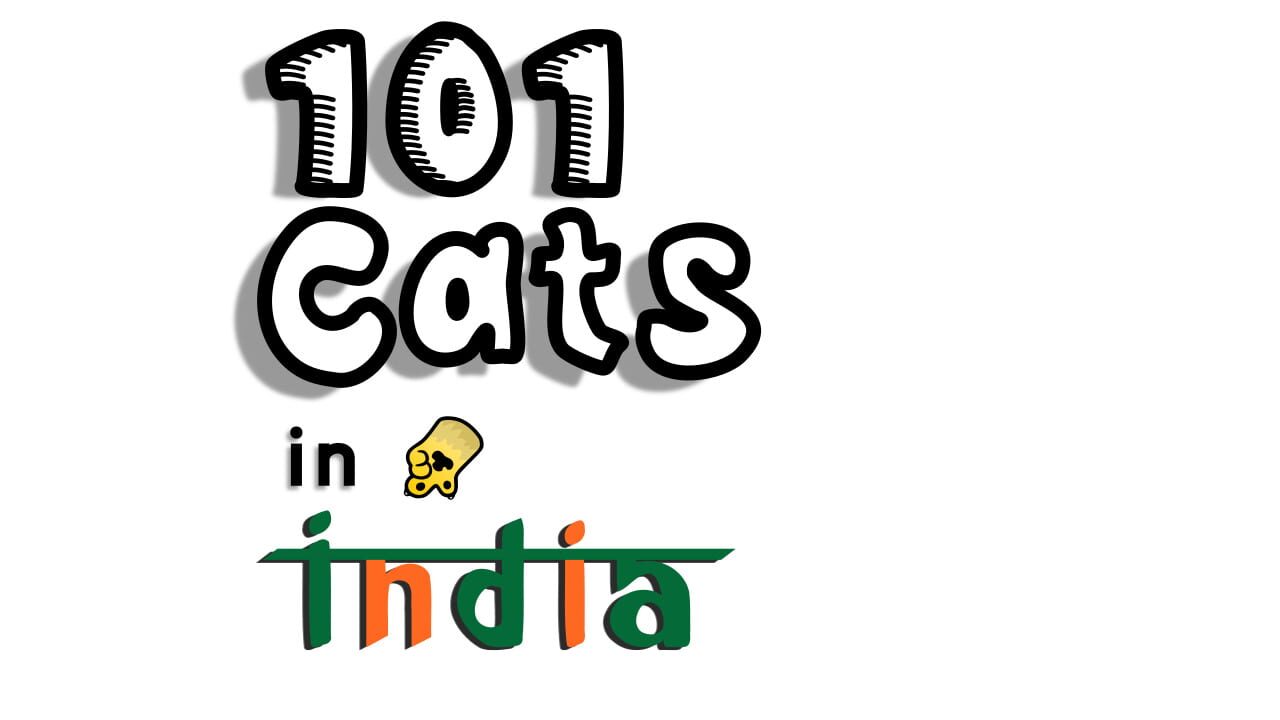 101 Cats Hidden in India Image