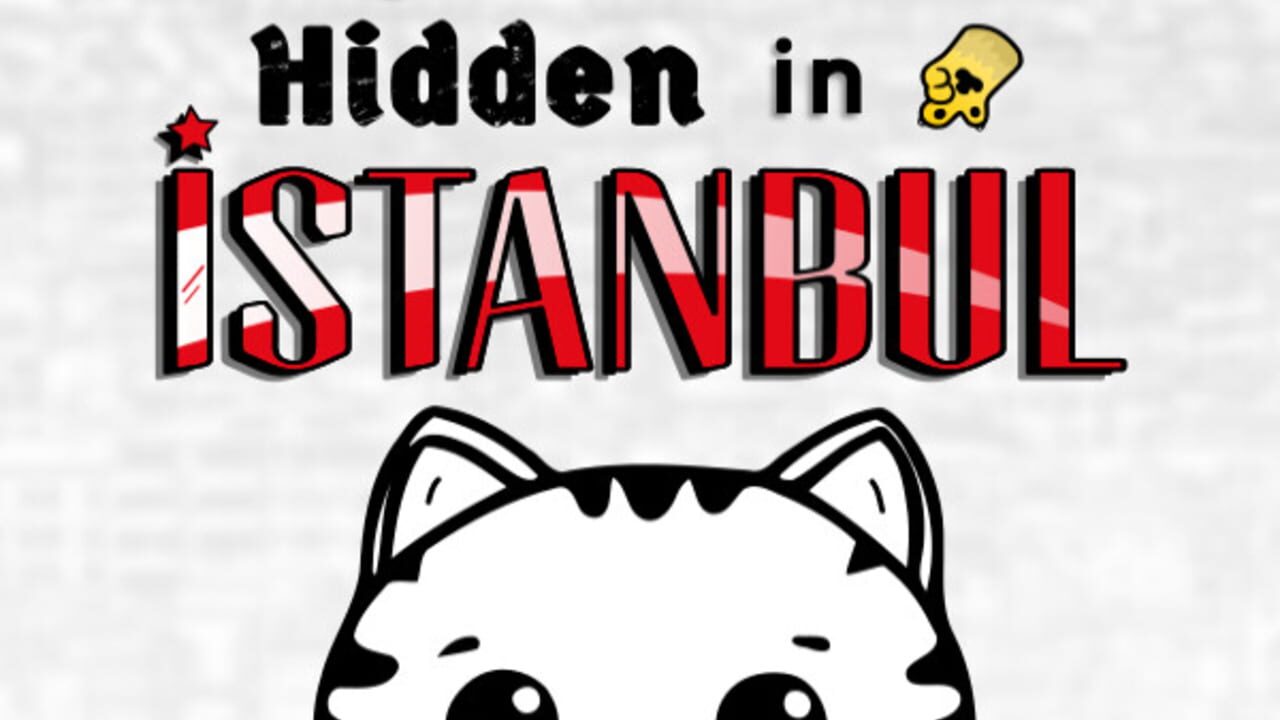 101 Cats Hidden in Istanbul Image