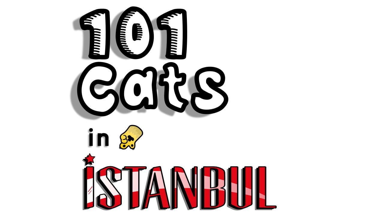 101 Cats Hidden in Istanbul Image