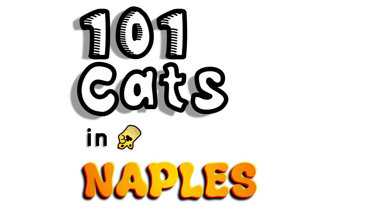 101 Cats in Naples Image