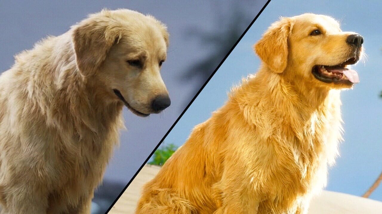 Restore Your Island Image