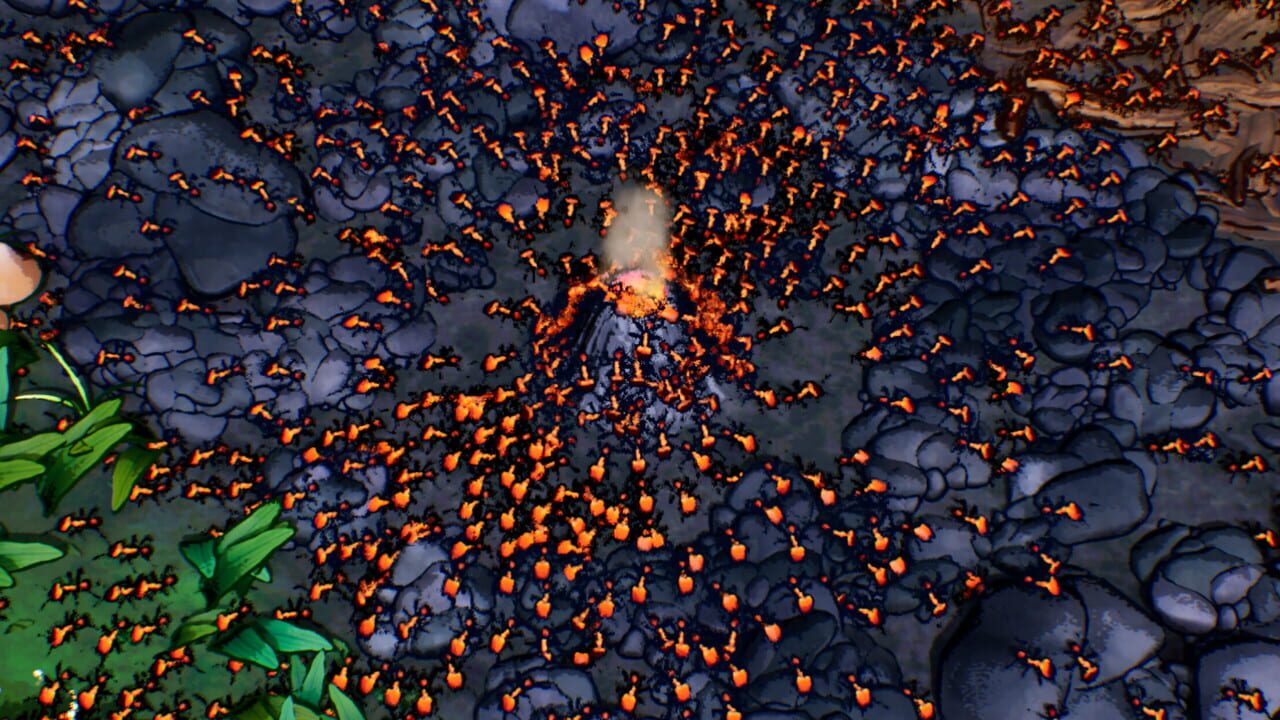 Ants Times Infinity Image