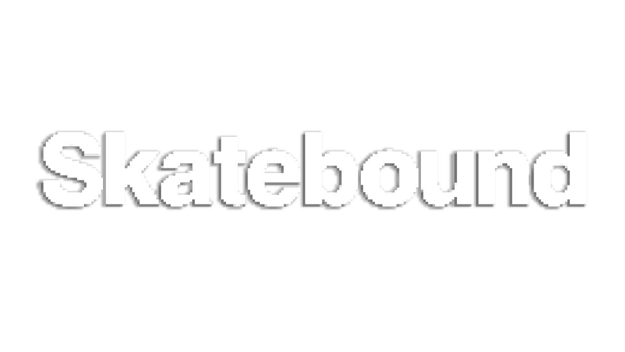 Skatebound artwork 2