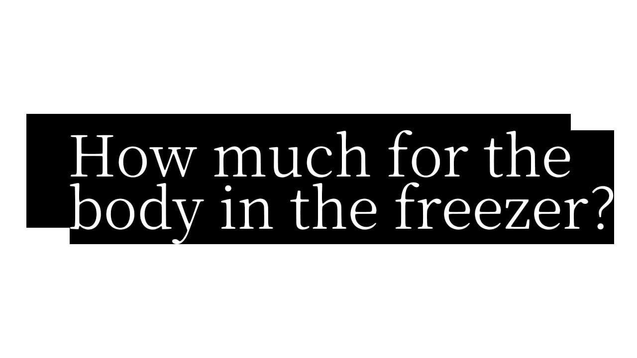 How Much for the Body in the Freezer Image