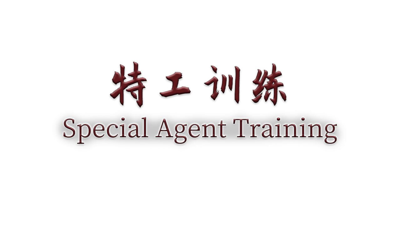 Special Agent Training Image