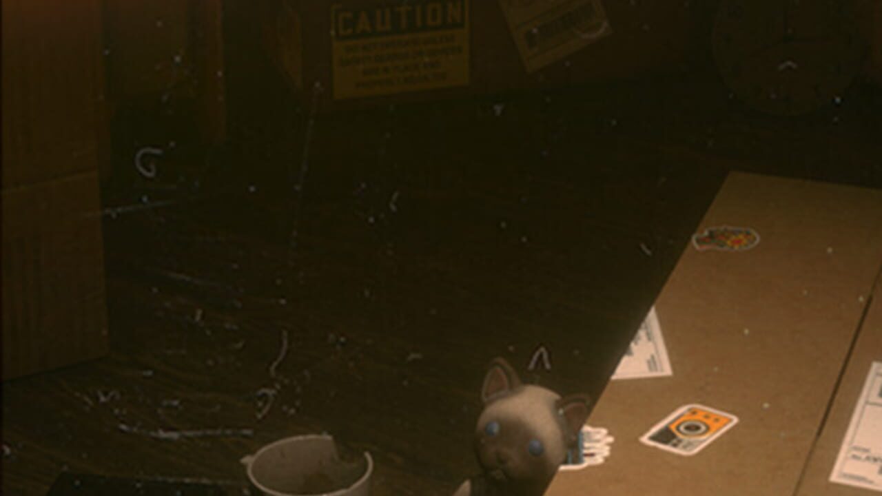 Before Closure Image