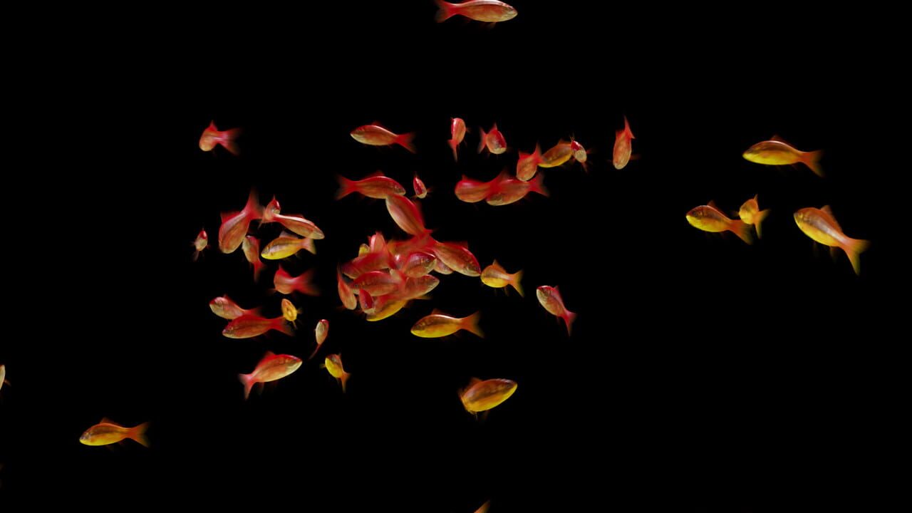 Goldfish Simulator cover art