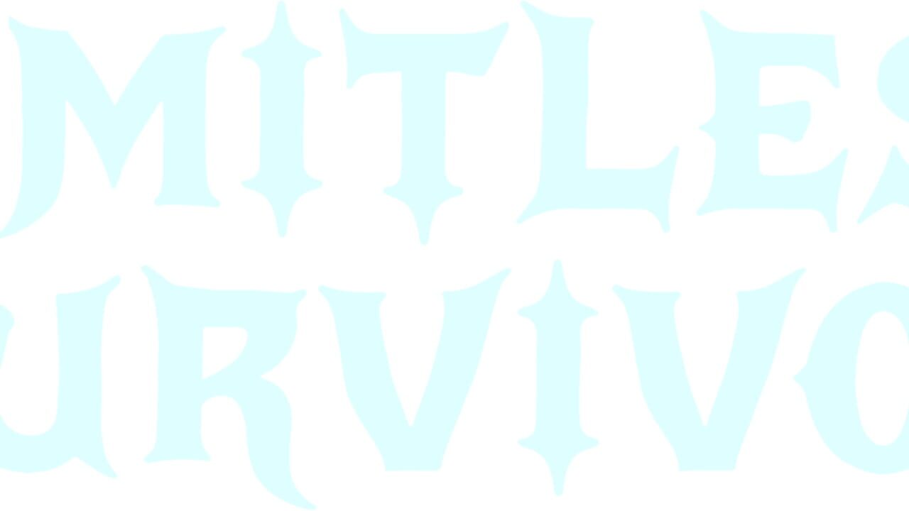 Limitless Survivor cover art