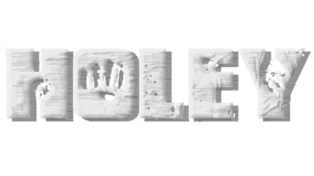 Holey cover art