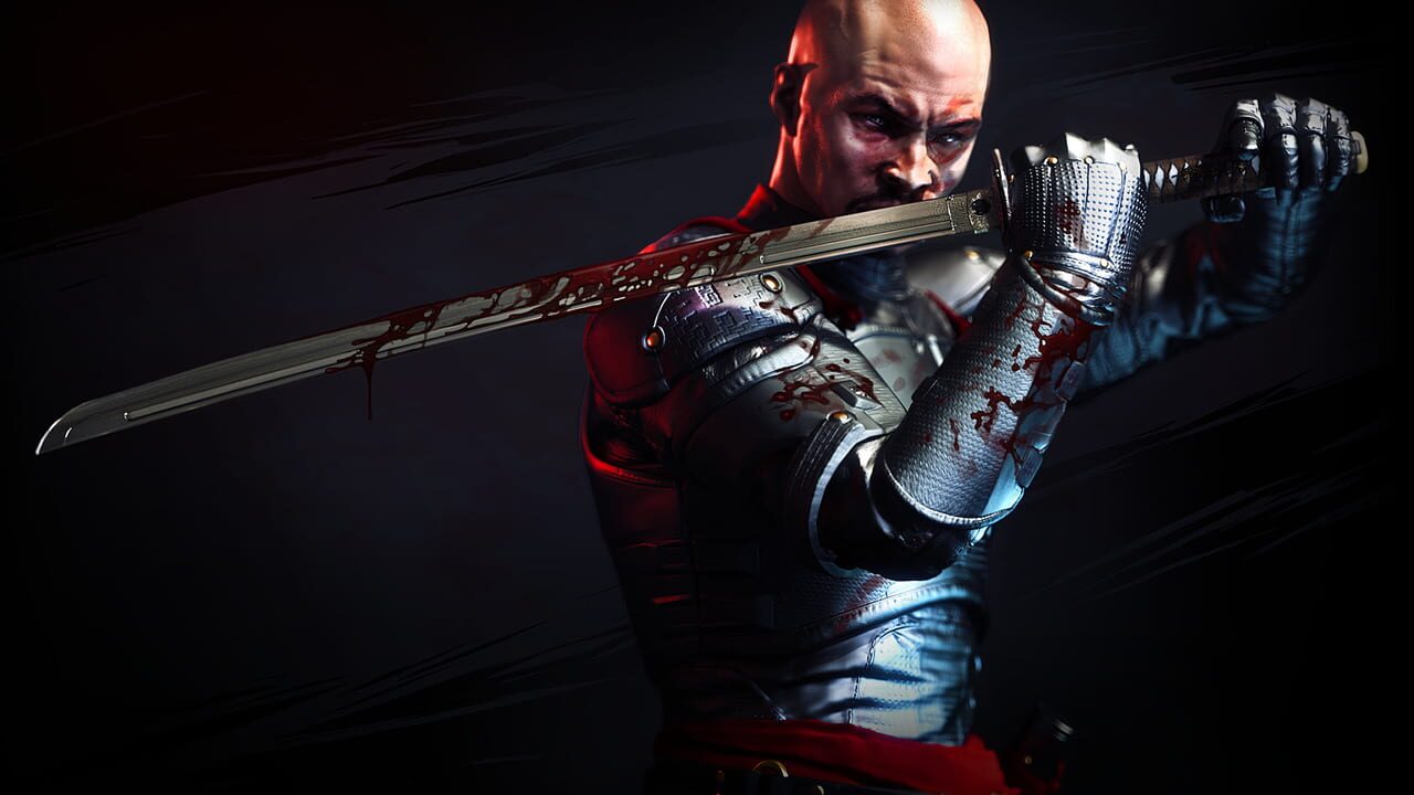 Shadow Warrior Image