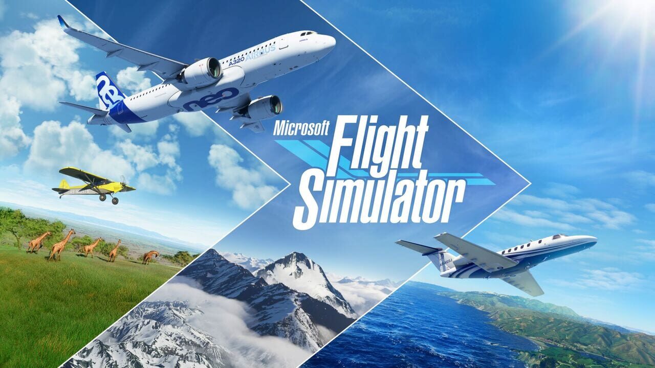 Microsoft Flight Simulator Image