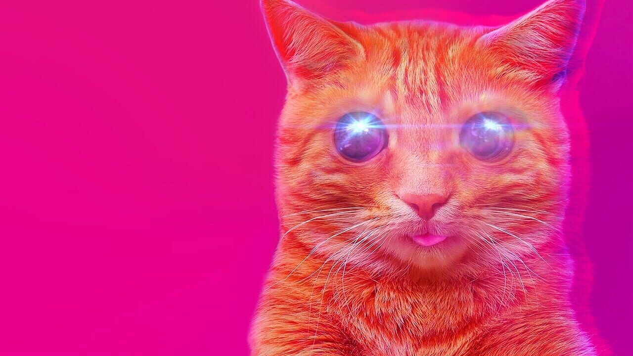 Puss! Image