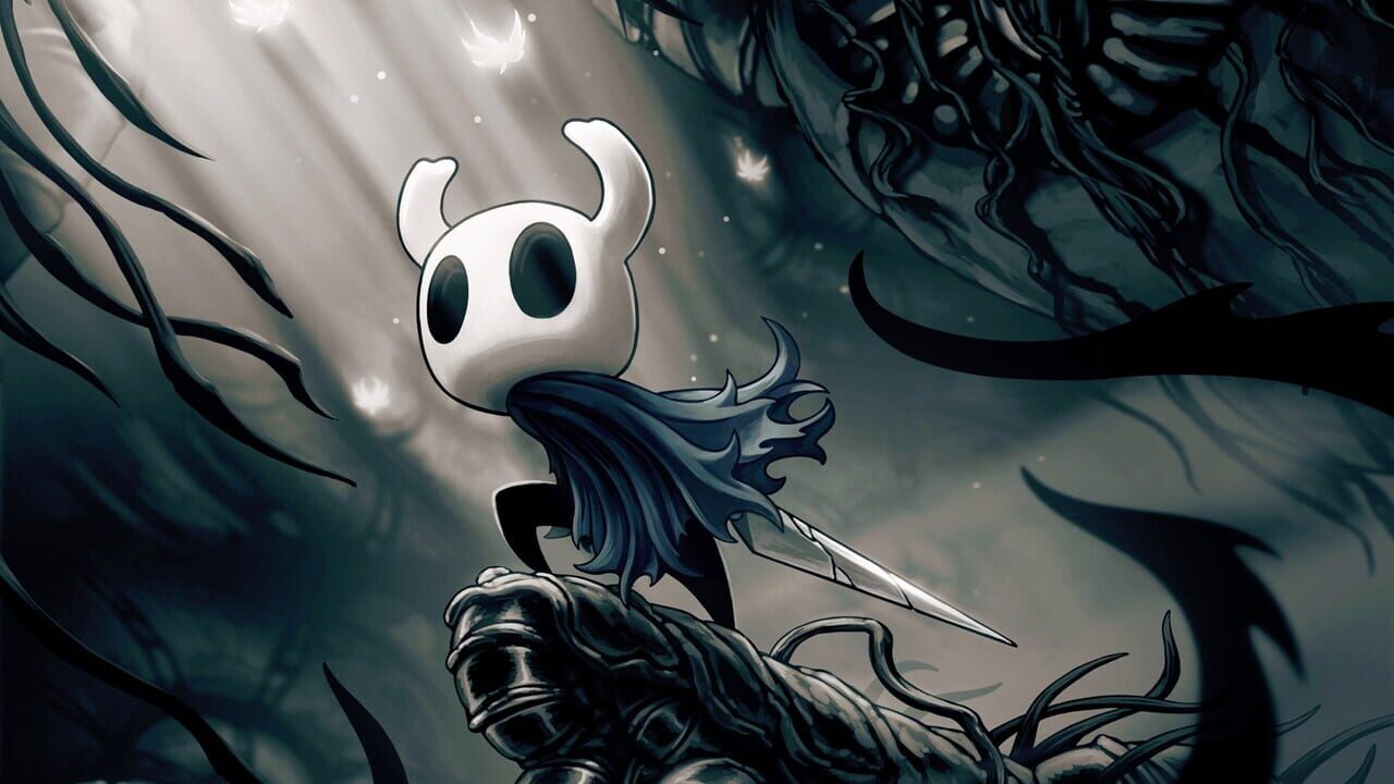 Hollow Knight: Voidheart Edition Image