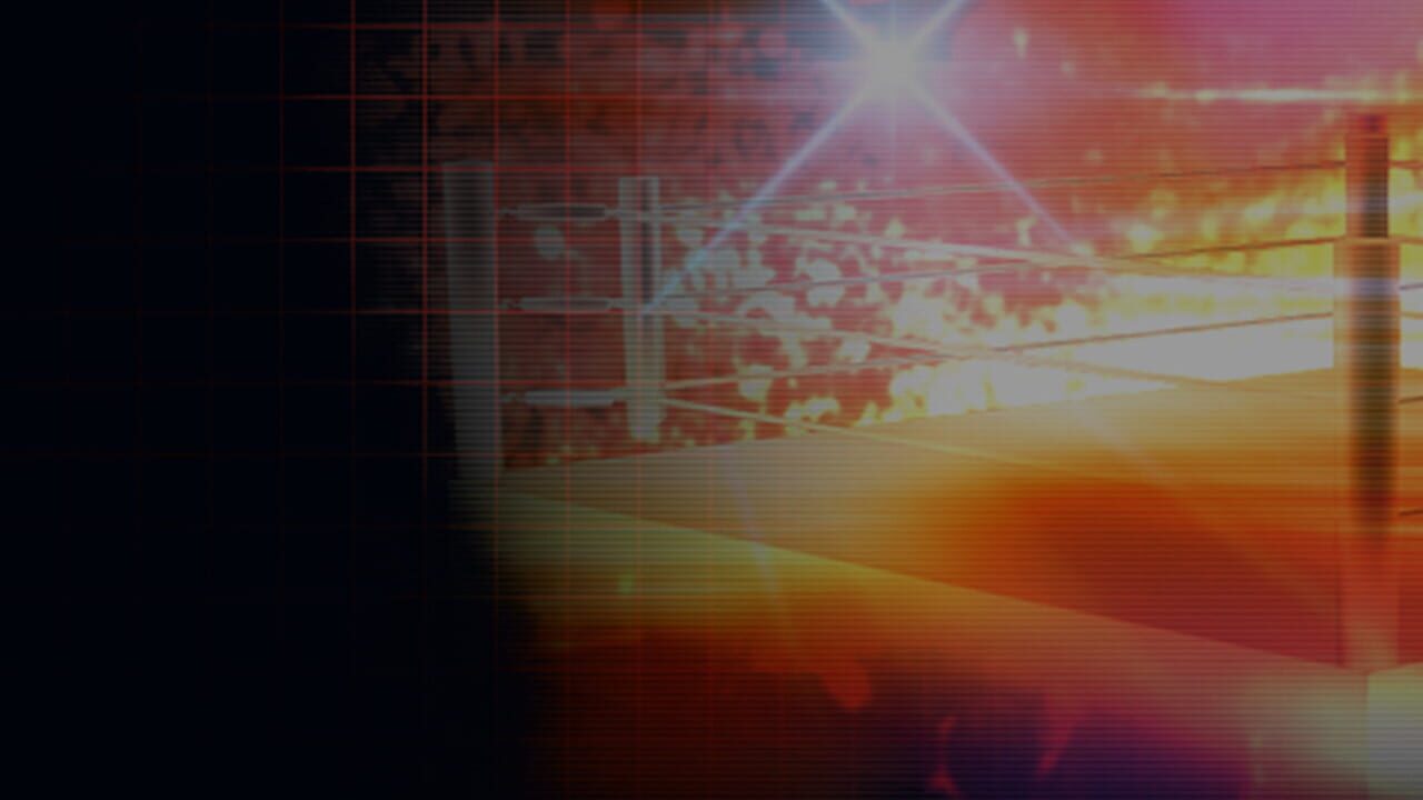 Fire Pro Wrestling World Image