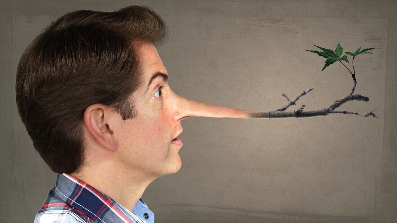 Fibbage Image