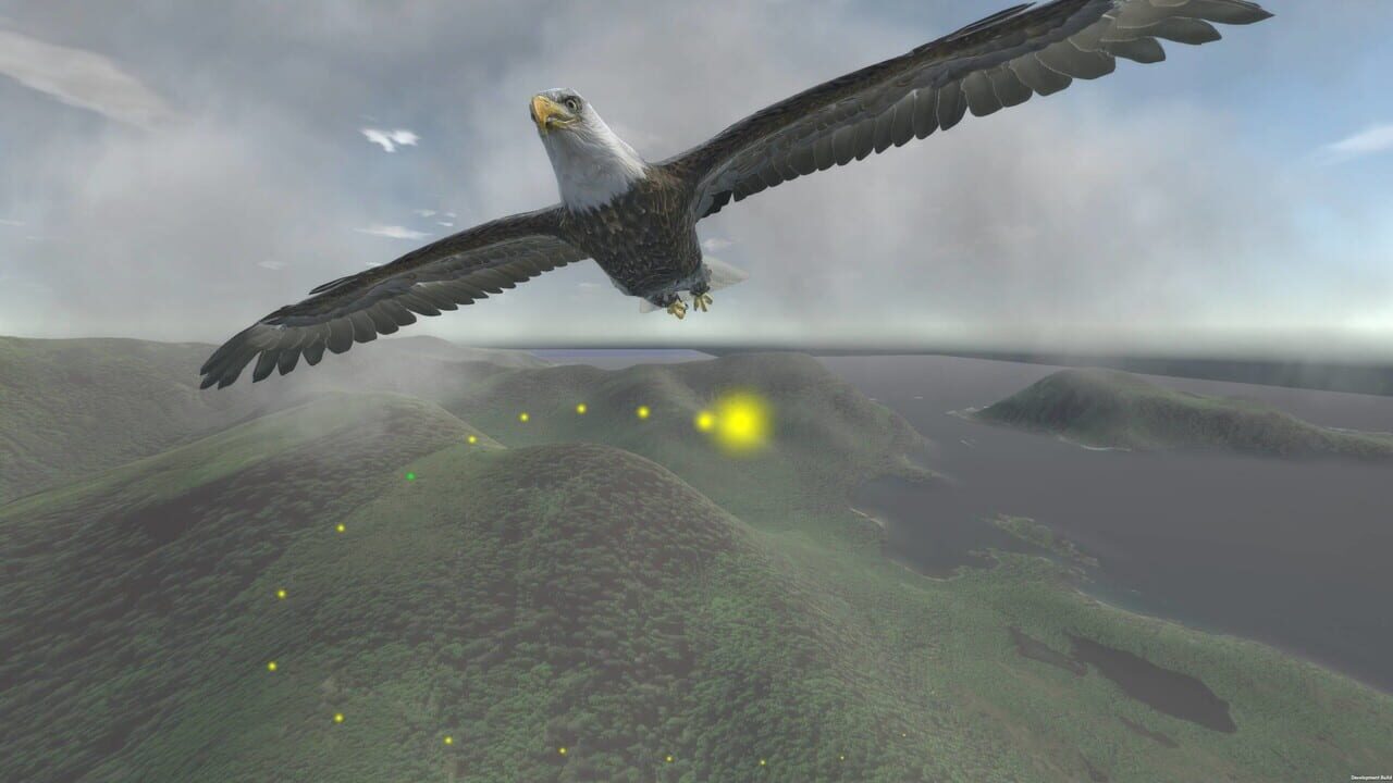 Aquila Bird Flight Simulator — Screenshot 4