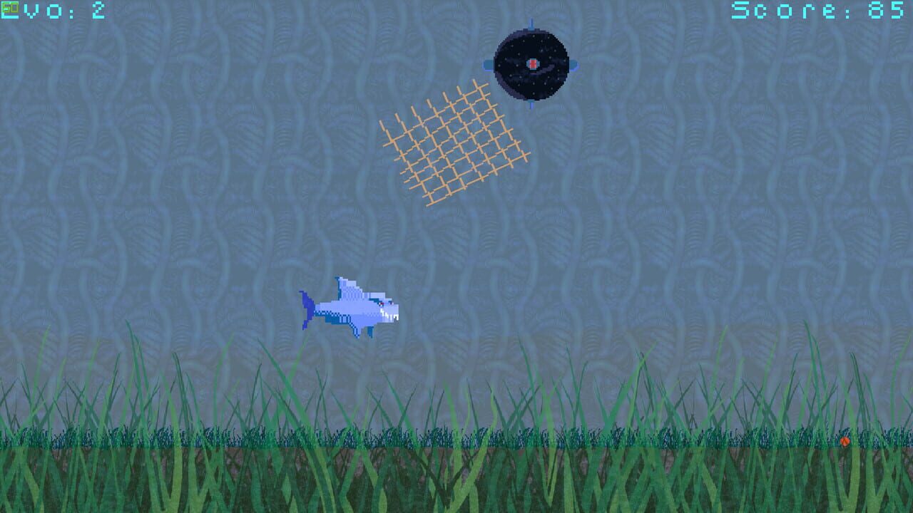 Shark Image
