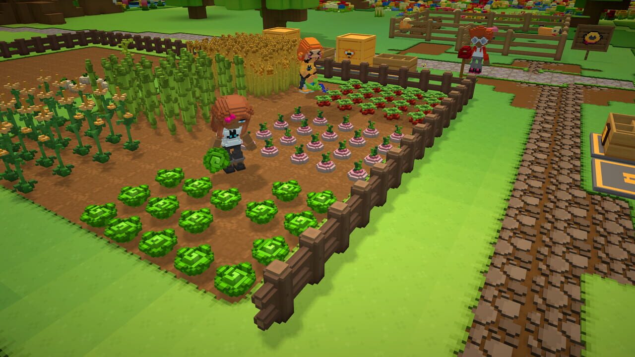 Staxel Image
