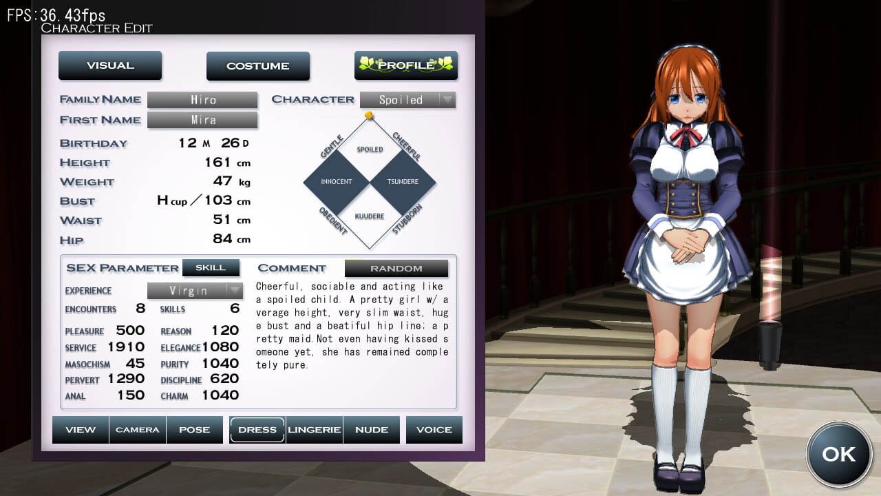 Custom Maid 3d 2 Characters