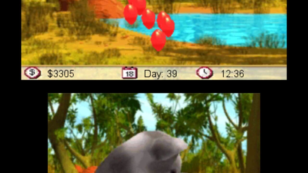 Outback Pet Rescue 3D — Screenshot 2