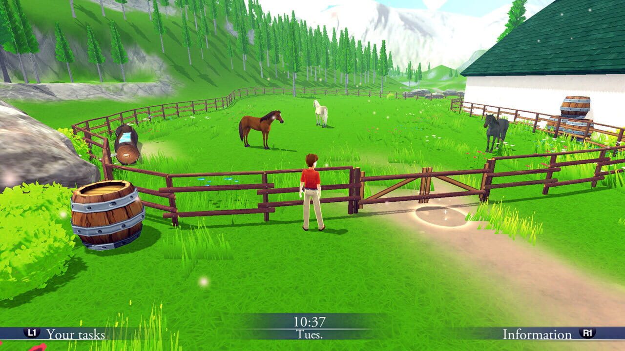 My Riding Stables: Life with Horses 2 — Screenshot 4