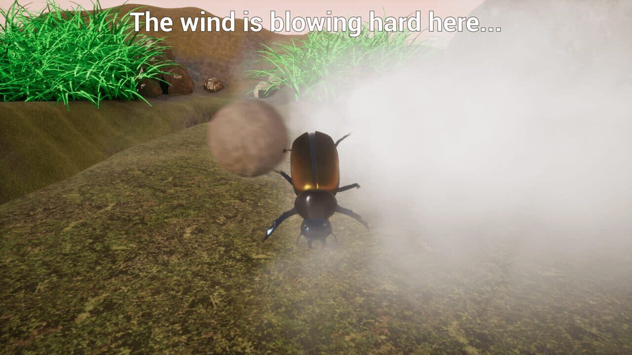 Dung Beetle — Screenshot 4
