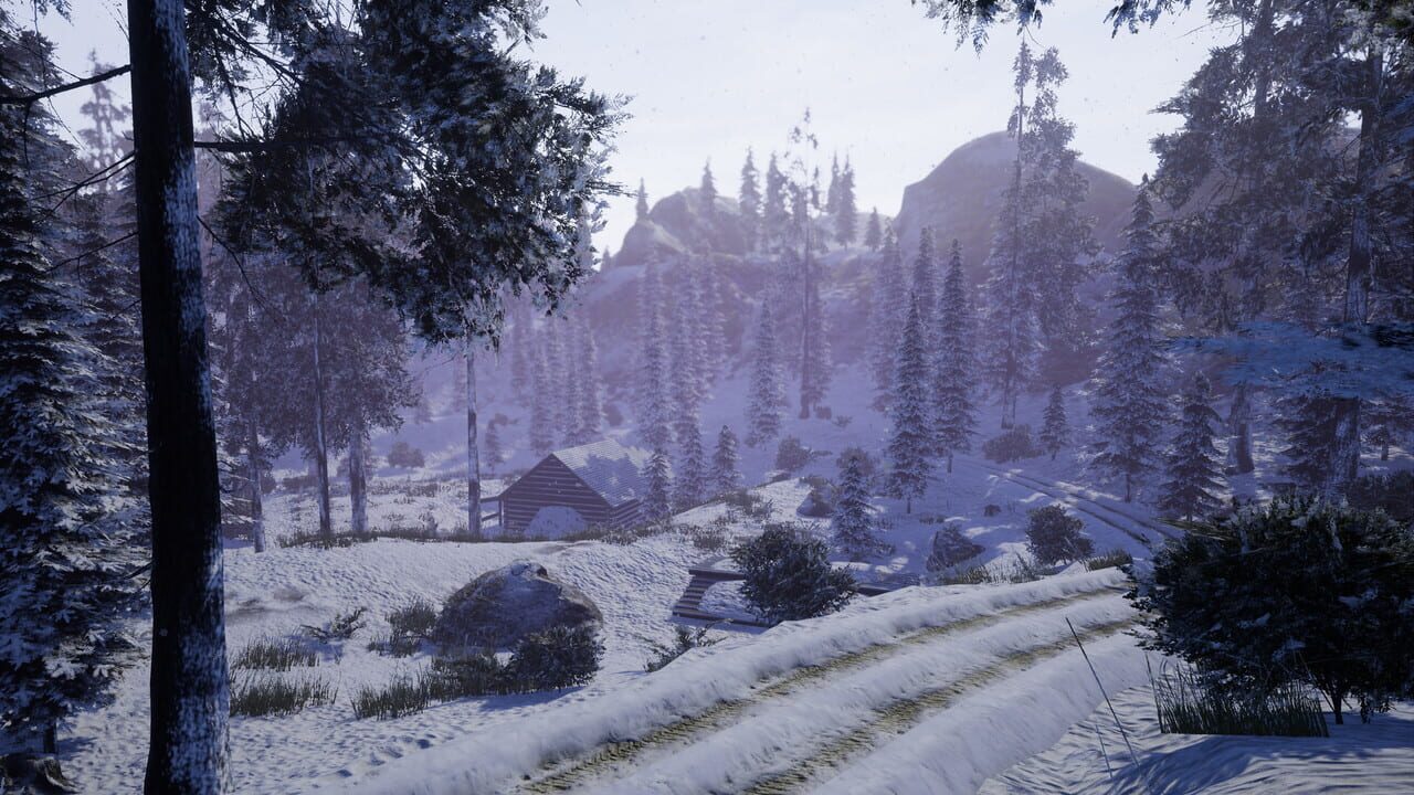 Before Nightfall Image