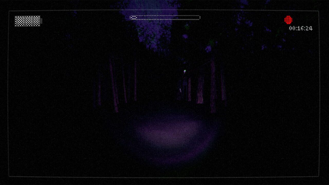 Slender: The Arrival miniatura 11