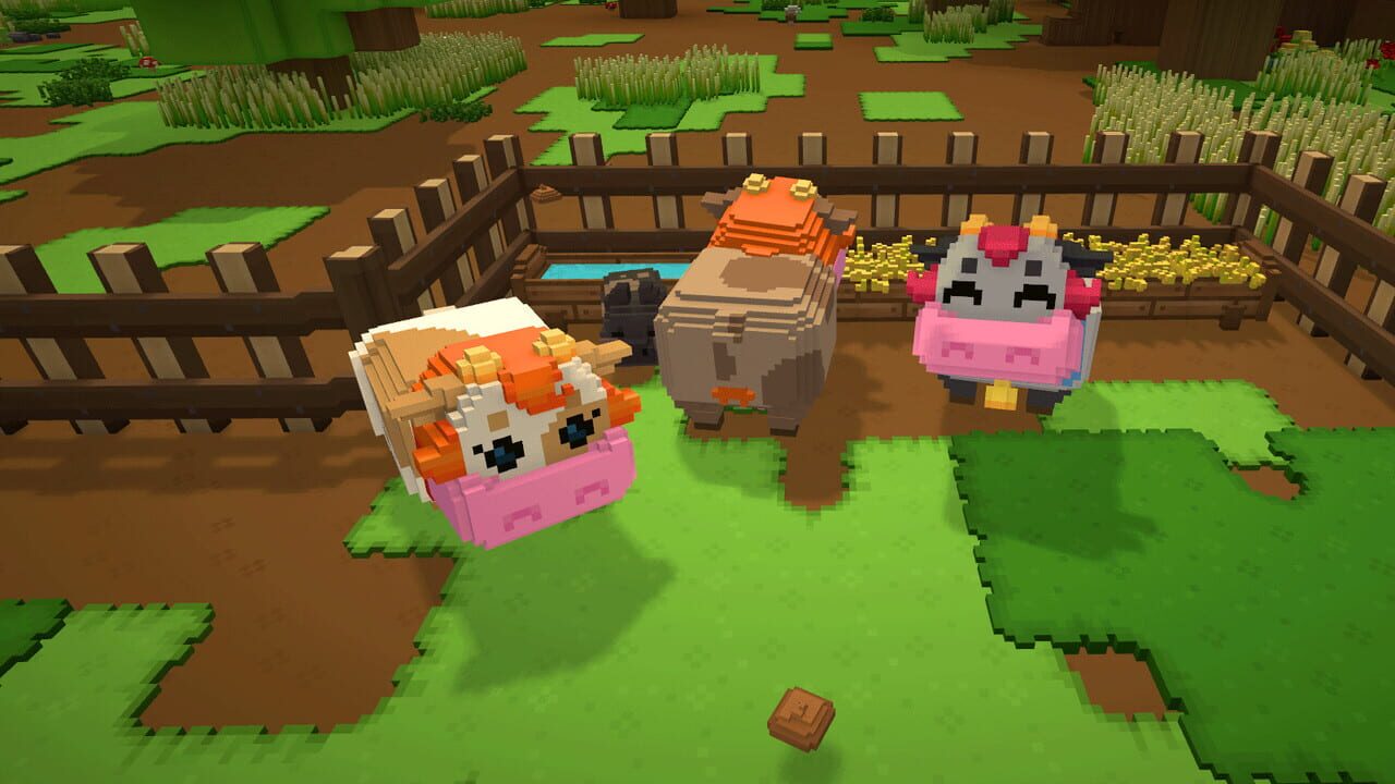 Staxel Image