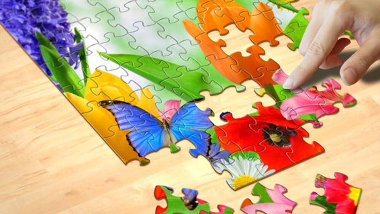 Jigsaw Puzzle Pro Image