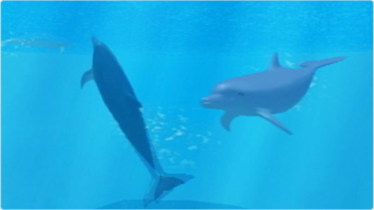 My Dolphin — Screenshot 3