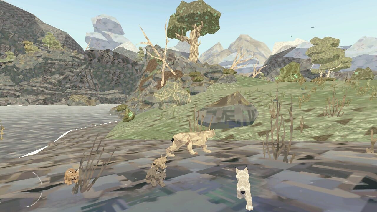 Shelter Generations Image
