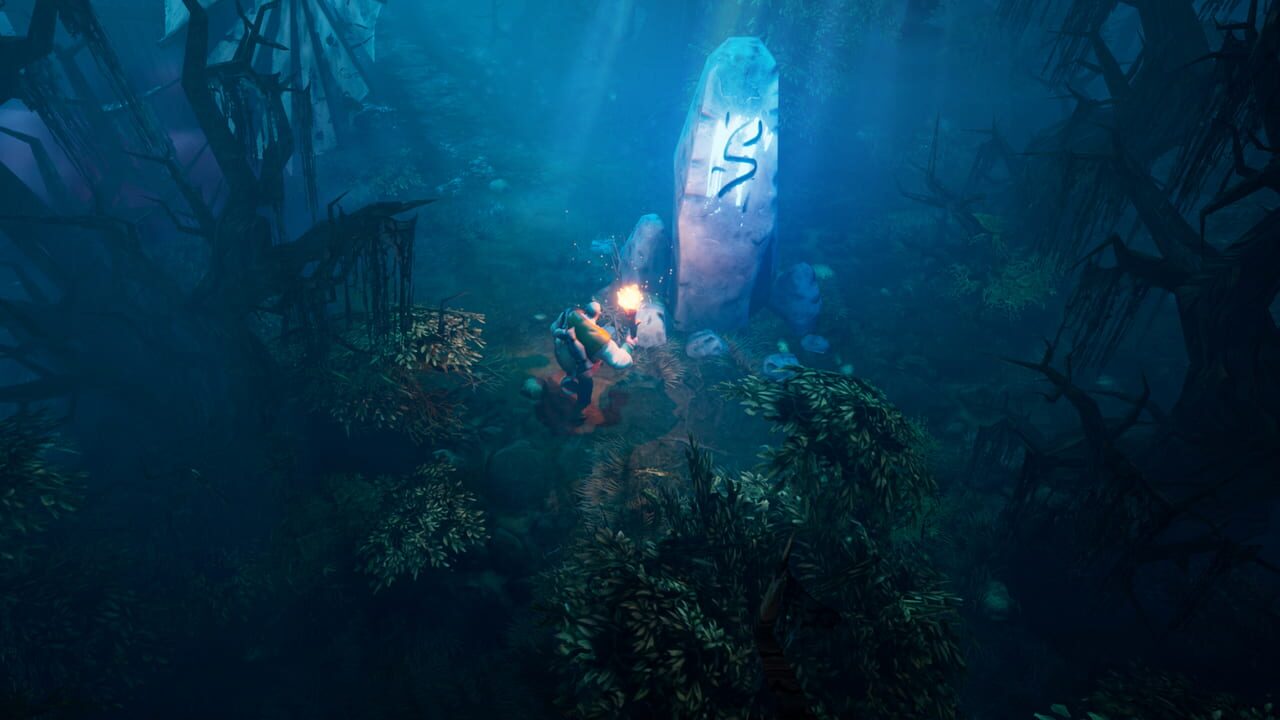 7 Bones and 7 Stones: The Ritual Image