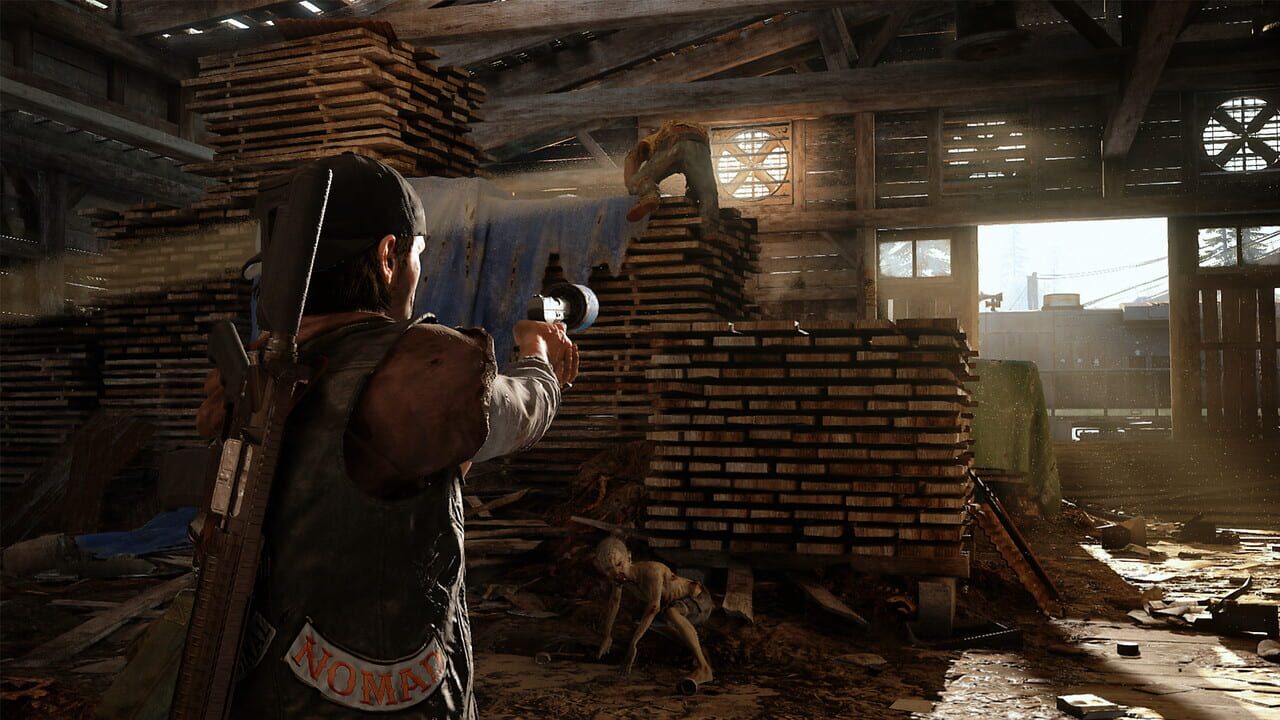 Days Gone Image