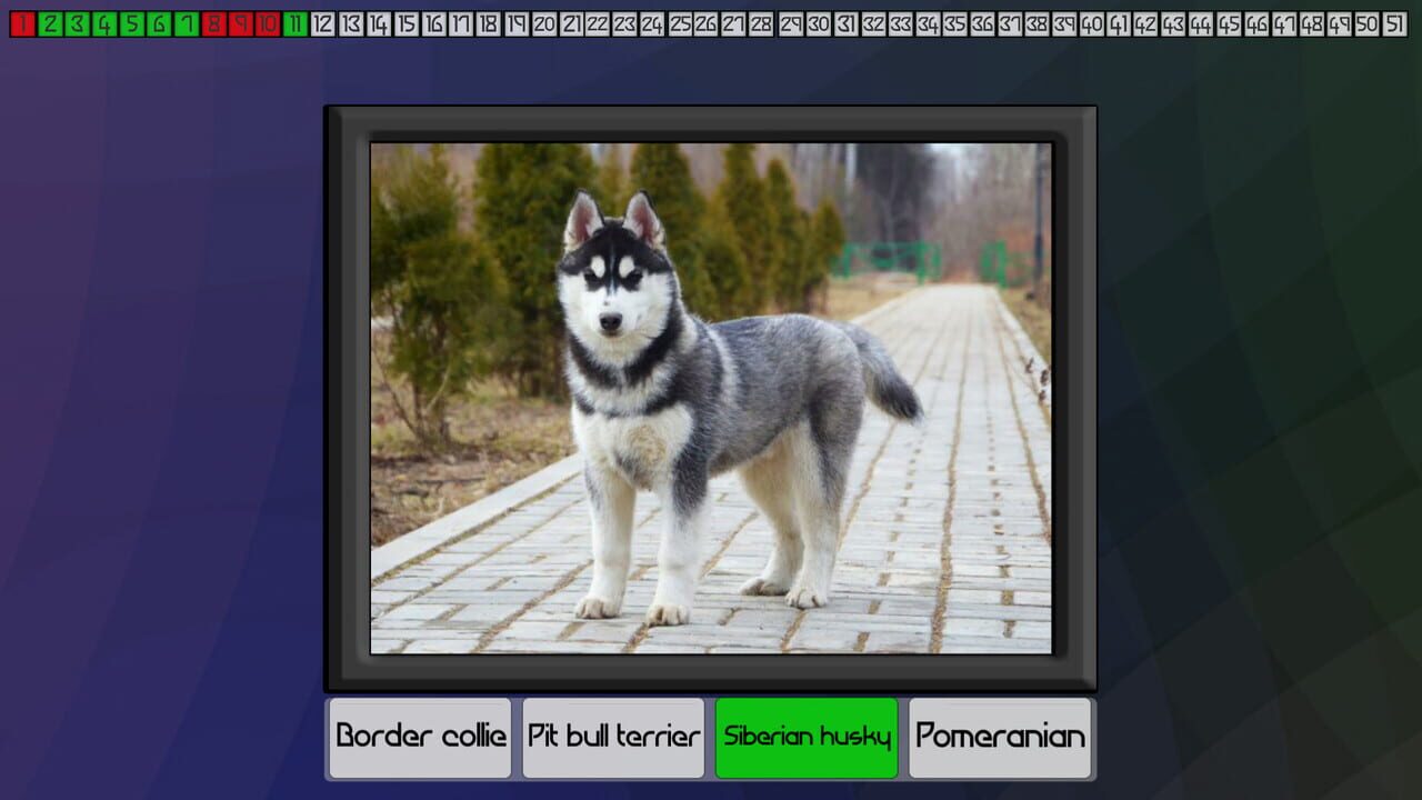 Test your knowledge: Dogs — Screenshot 2