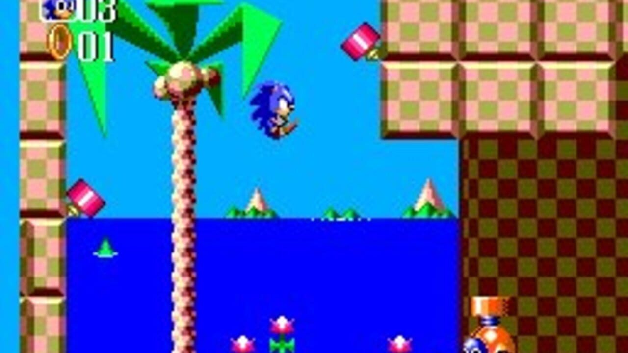 Sonic the Hedgehog Chaos miniatura 8