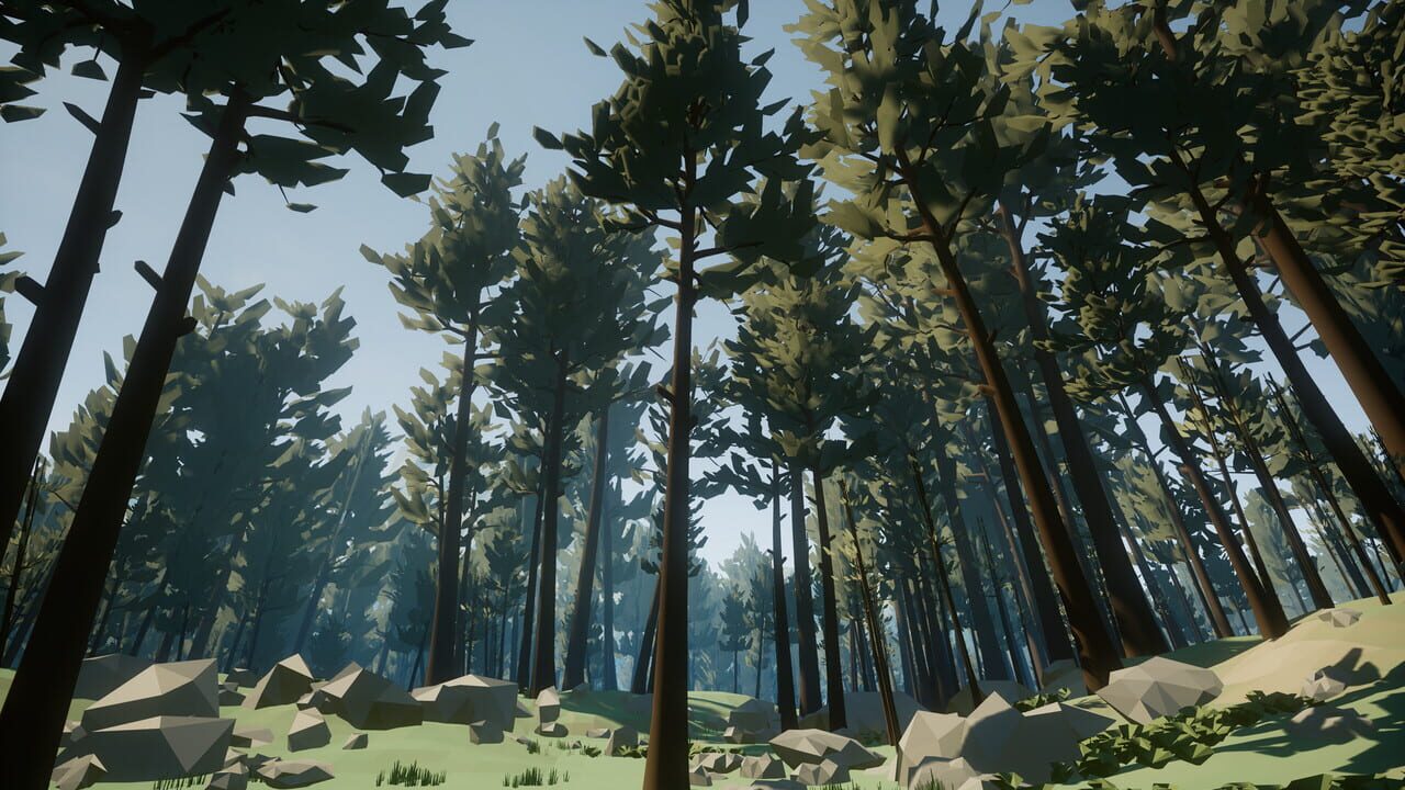Forestry Image