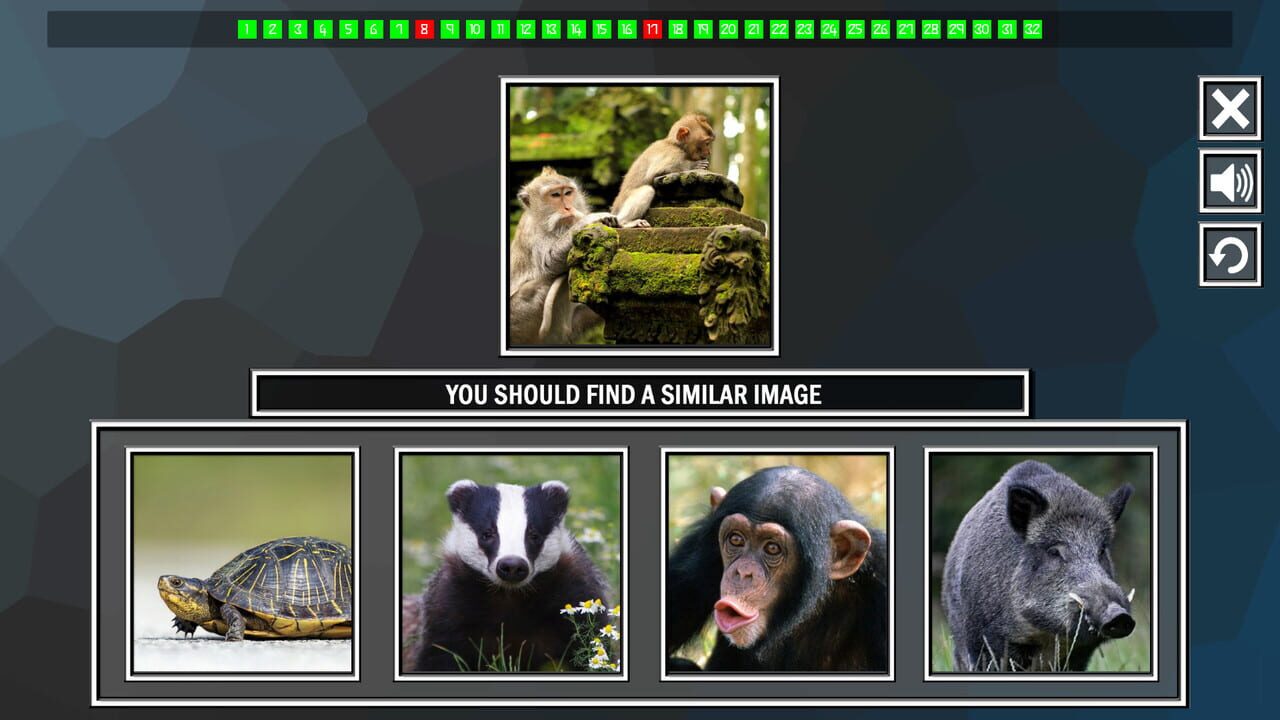 Repeat the image: Animals — Screenshot 4