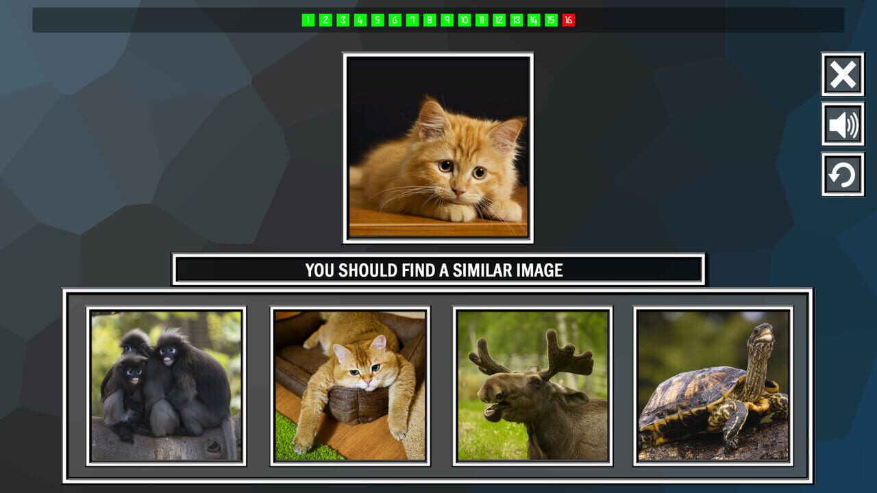 Repeat the image: Animals — Screenshot 5