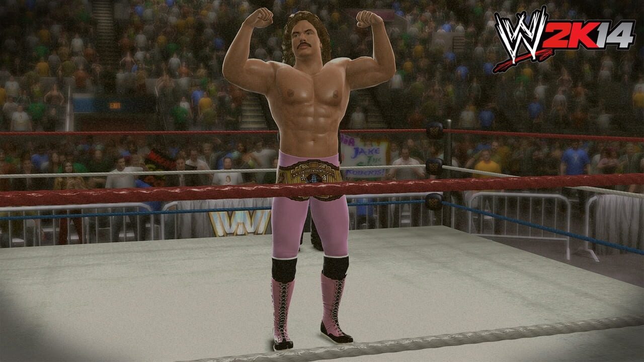 WWE 2K14 Image