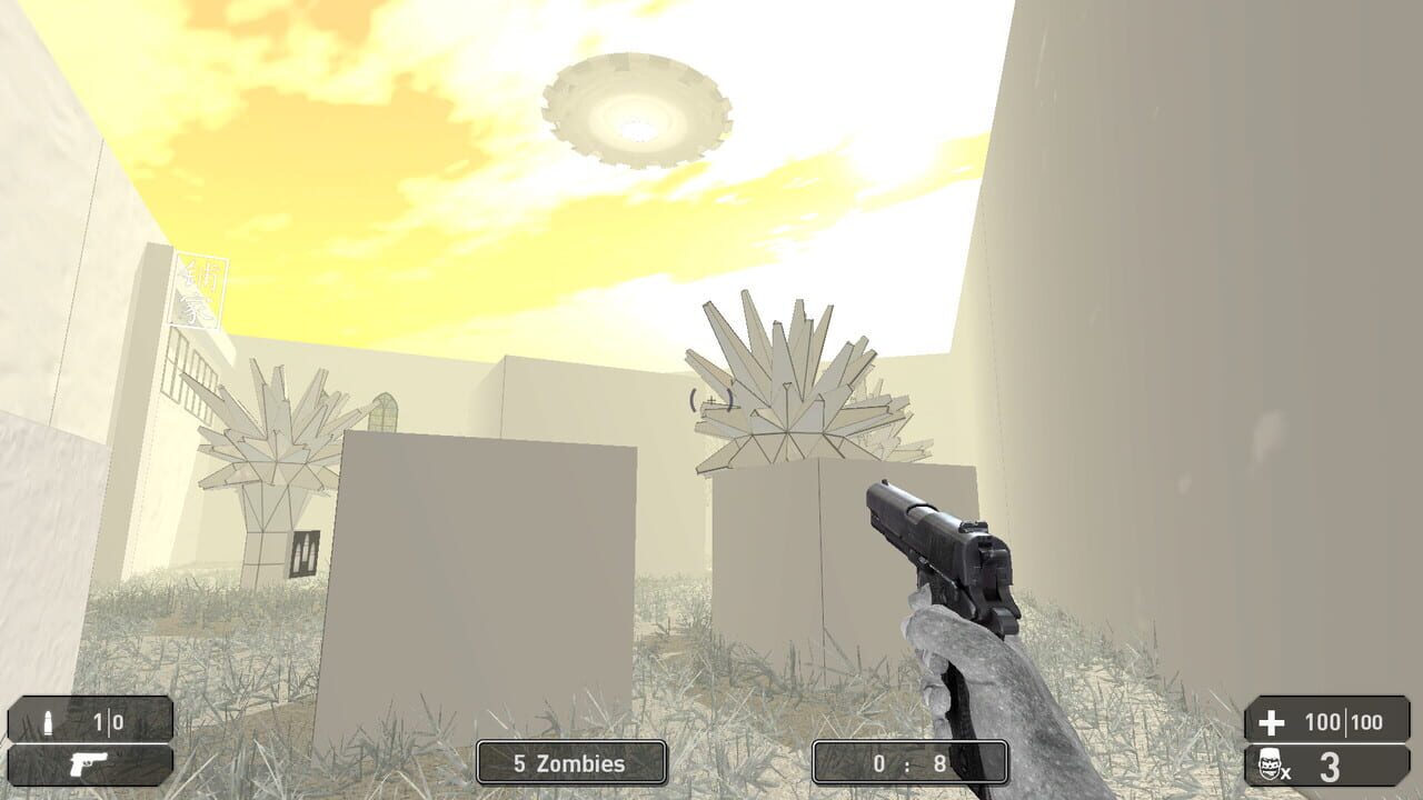 Project of the Developer Image